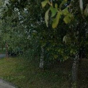 obrazek: avatar ZÁKLADNÍ ORGANIZACE ČESKÉHO SVAZU OCHRÁNCŮ PŘÍRODY KŘIŽÁNKY-JIČÍN