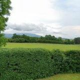 SKUPINA HISTORICKÉHO ŠERMU REGO