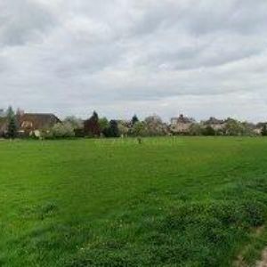 obrazek: avatar KNYTL JAN DiS.