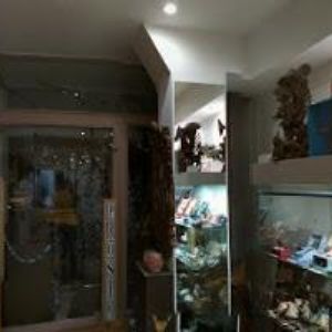 obrazek: avatar VYHNÁLEK JAN PhDr.