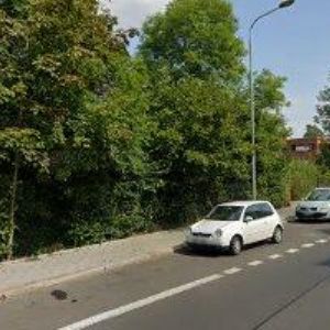 obrazek: avatar MOTL SAFETY