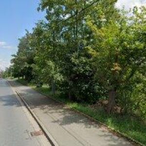 obrazek: avatar KRATOCHVÍL ALEŠ
