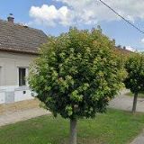 PODZÁMČÍ, AGENTURA PODPORY RODINY A SLUŽEB