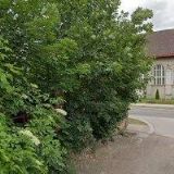 NOVOTNÁ MARIE MUDr.