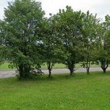 TVRDOŇOVÁ ZDENA MUDr.