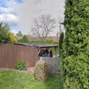 obrazek: avatar DAMA CZECH REPUBLIC,