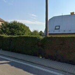 obrazek: avatar MILENA ALBRECHTOVÁ