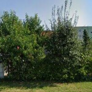 obrazek: avatar PATRIK RŮŽIČKA