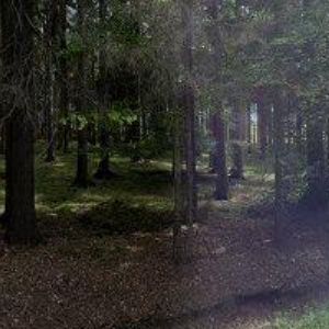 obrazek: avatar PAVEL JIREČEK