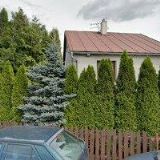 MILENA HAVLÍČKOVÁ