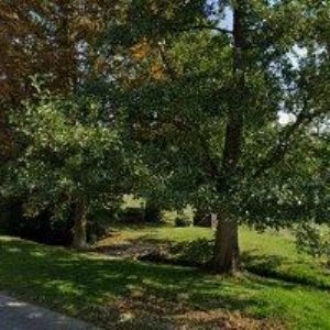 obrazek: avatar MVDR. VÁCLAV DOVOL