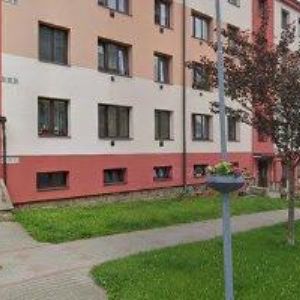 obrazek: avatar PETRA HUŠKOVÁ