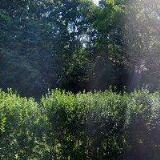 SPOLEČENSTVÍ VLASTNÍKŮ VALDOV 37