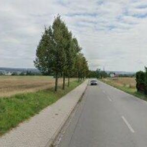 obrazek: avatar DAVID SAMUEL KURSA