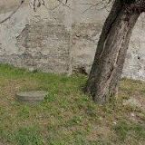 SVĚT ZDRAVÍ LITOMĚŘICE