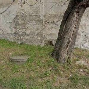 obrazek: avatar SVĚT ZDRAVÍ LITOMĚŘICE