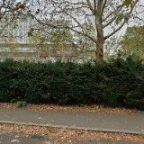 HARTOVÁ MARTINA-MAGIC NAILS-SPORTFITNESS