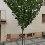 SPOLEČENSTVÍ VLASTNÍKŮ KOMENSKÉHO 1224, NOVÁ PAKA