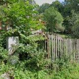 IVÁNEK LIBOR-EKOOKO