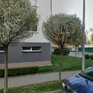 obrazek: avatar MICHAL JIROUD