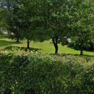 obrazek: avatar MICHAL JEDLIČKA