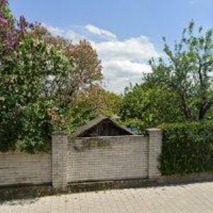 obrazek: avatar PAVEL DOLANSKÝ