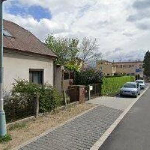 obrazek: avatar PAVLA ŠEDINOVÁ