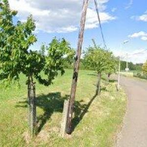 obrazek: avatar PETR KRÁTKÝ