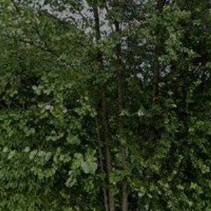 obrazek: avatar DAVID KOMÁREK