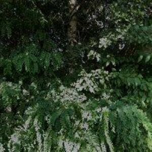 obrazek: avatar OLGA KALYNYCH