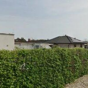 obrazek: avatar PETRA SURMOVÁ