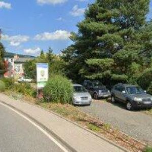 obrazek: avatar DAVID SCHICKER