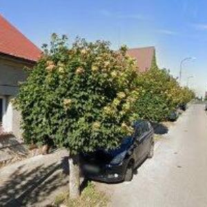 obrazek: avatar MONIKA KASLOVÁ