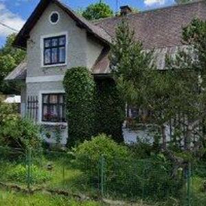 obrazek: avatar PETR MACH