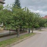 SPOLEK RODIČŮ A PŘÁTEL ŠKOLY PŘI INTEGROVANÉ STŘEDNÍ ŠKOLE V NOVÉ PACE