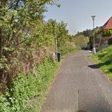 MASOJÍDEK ZDENĚK-KONE GOLDS