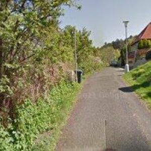 obrazek: avatar MASOJÍDEK ZDENĚK-KONE GOLDS