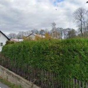 obrazek: avatar TICHÝ PETR-NOVUM TRUHLÁŘSTVÍ