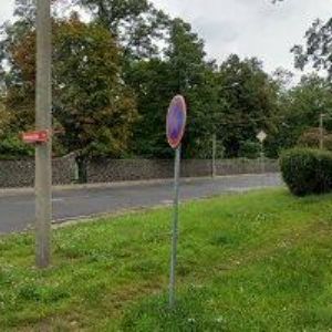 obrazek: avatar SZALAY JOSEF-PROMO