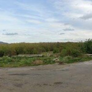 obrazek: avatar JAROMÍR VEVERKA