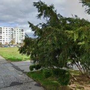 obrazek: avatar VANÍČEK MIROSLAV