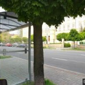 obrazek: avatar MRÁZEK PETR-ELESTOR