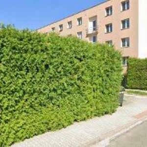 obrazek: avatar NIKOLA RYCHTEROVÁ