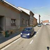 SPOLEK ANIMAL THERAPY