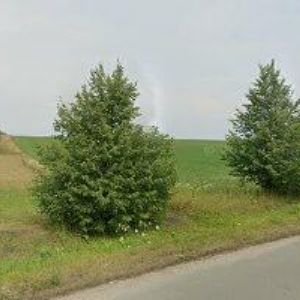 obrazek: avatar CZECH PROMONT