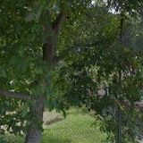 ŠKODA MARTIN-TRUHLÁŘSTVÍ