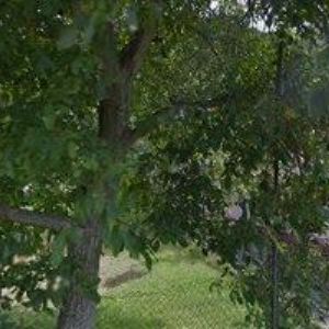 obrazek: avatar ŠKODA MARTIN-TRUHLÁŘSTVÍ