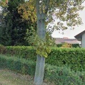 obrazek: avatar PELCMAN PETR