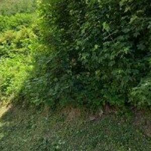 obrazek: avatar MVE MUNZARŮV MLÝN