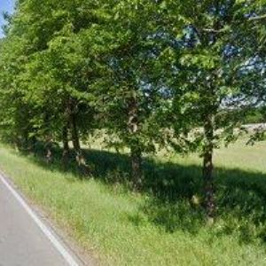 obrazek: avatar PAVEL ROZÍNEK